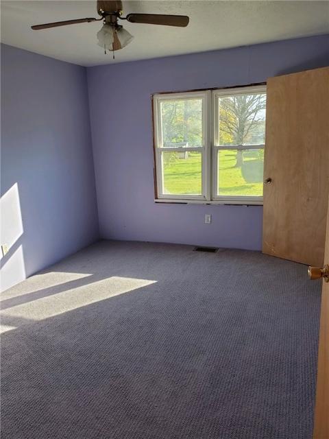 16 Hillcrest Dr, Lyons, NY 14489 photo 18