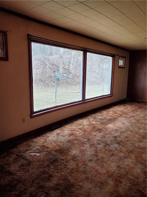 16 Hillcrest Dr, Lyons, NY 14489 photo 16