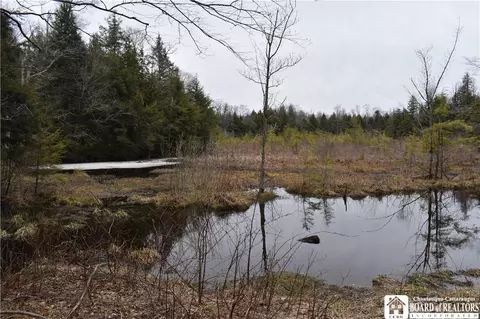 0 Route 380 Chautauqua, Stockton, NY 14784