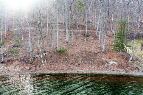 10193 E Bluff Dr, Jerusalem, NY 14527 photo 4