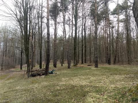 23 Treehaven Rd, Wethersfield, NY 14066 photo 16