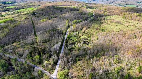 126 Sisson Hill Rd, Unadilla, NY 13849