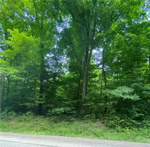4476 Harvey Rd, Potter, NY 14544