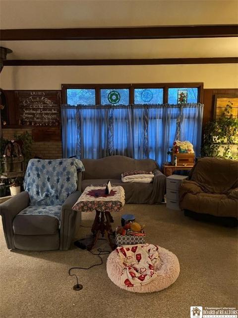 14 Willowbrook Ave, Dunkirk, NY 14048 photo 3
