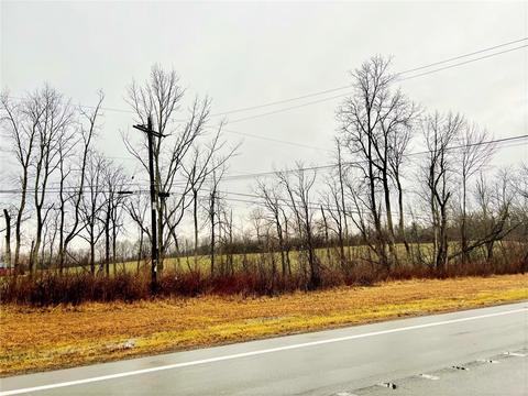 0 State Street Rd, Throop, NY 13021