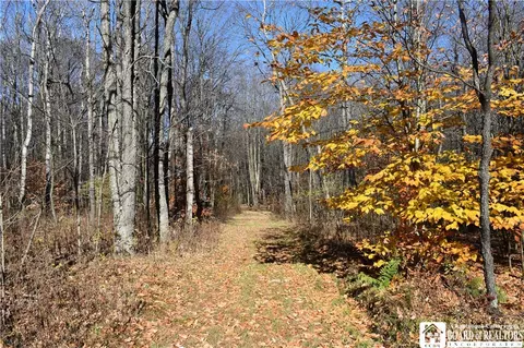 0 Route 60, West Union, NY 14806
