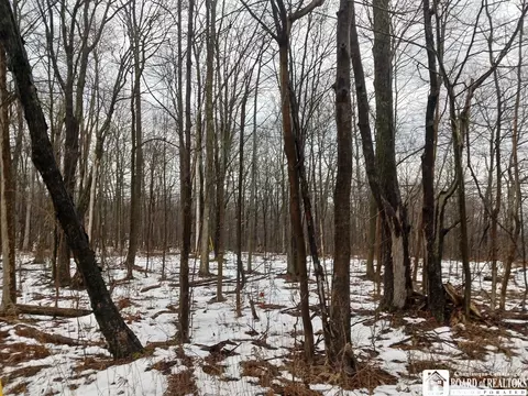00 Nys Route 16 Rd, Allegany, NY 14706
