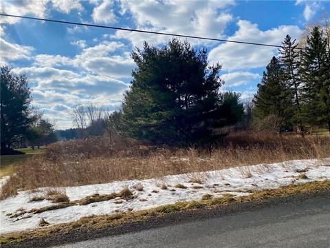 2216 W Brook Rd, Seneca Falls, NY 13148