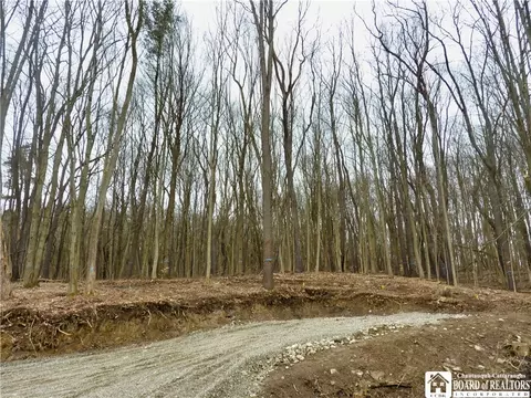 0 Kiantone Rd, Kiantone, NY 14701