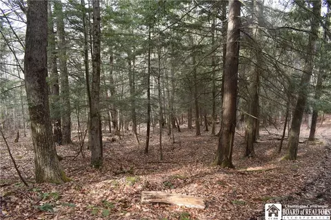 0 Call Hl, Hartsville, NY 14806