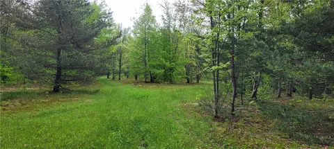 0 Thayer Rd, Erin, NY 14838