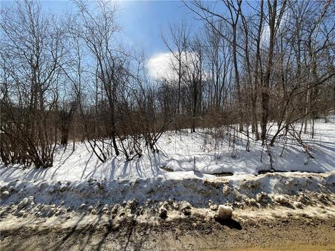 0 Gillies Hill Rd #LOT 2, Birdsall, NY 14709