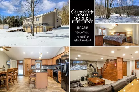 267 Hawkins Rd, Sanford, NY 13754