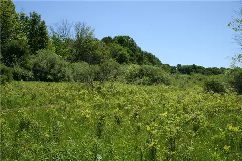 000 Stony Ridge E Dr, Mendon, NY 14472