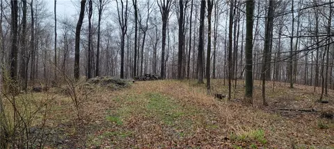 0 Green Rd, West Sparta, NY 14437
