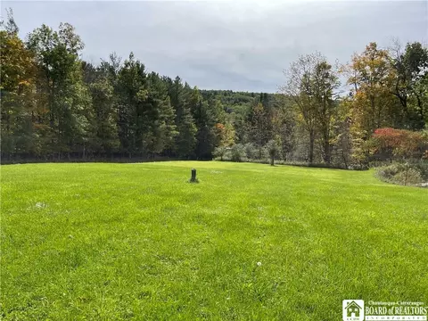 3447 Morgan Rd, Scio, NY 14880