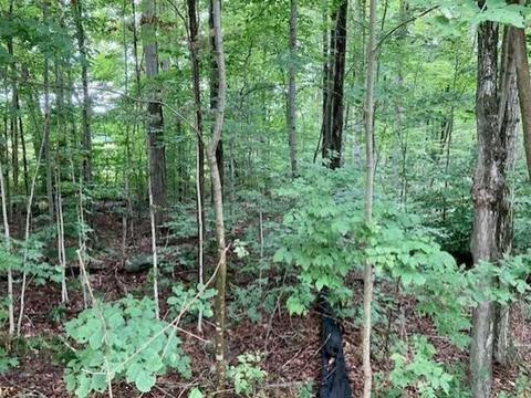 0 Lawton Sheer Rd, Norwich-city, NY 13815