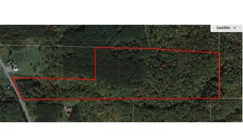 0 Scipio Rd, Nunda, NY 14517
