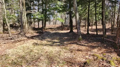 0 Smith Rd, Lebanon, NY 13332