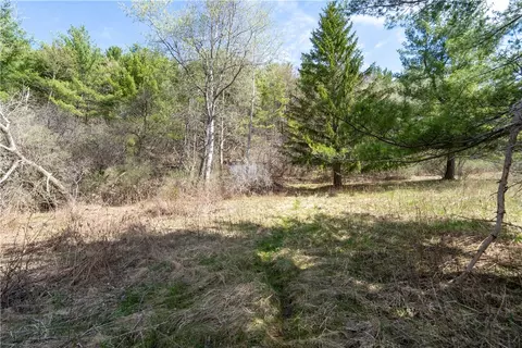 1732 State Route 70, Burns, NY 14822