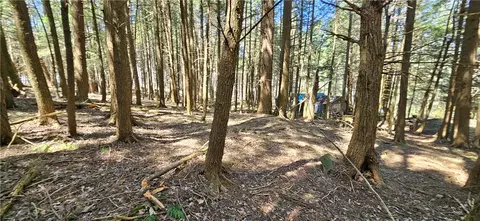 125 Deer Ln, Middletown, NY 12455