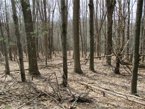 0 E Hill Road E Rd, Naples, NY 14512