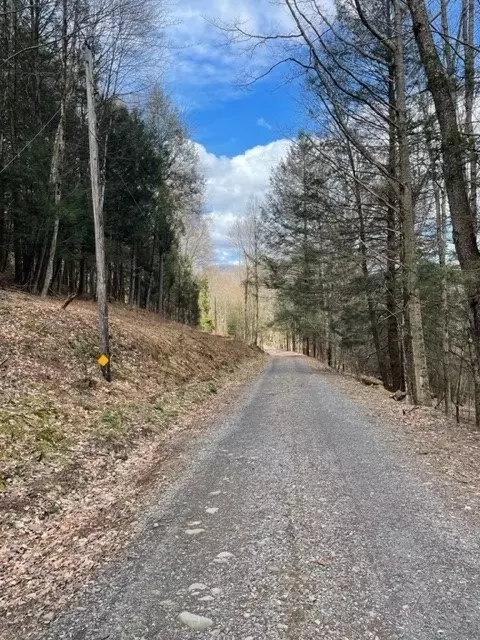 Undisclosed, Andes, NY 13731