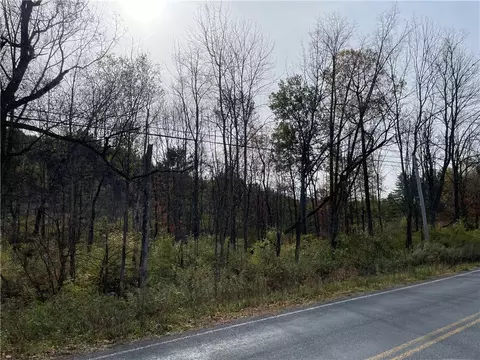 0 County Road 39, Afton, NY 13730