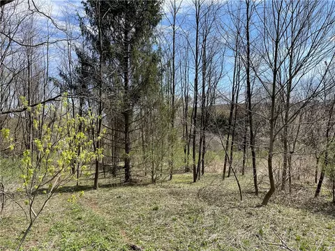 Undisclosed, Afton, NY 13730