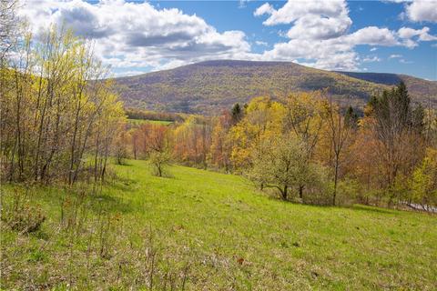 Undisclosed, Roxbury, NY 12421
