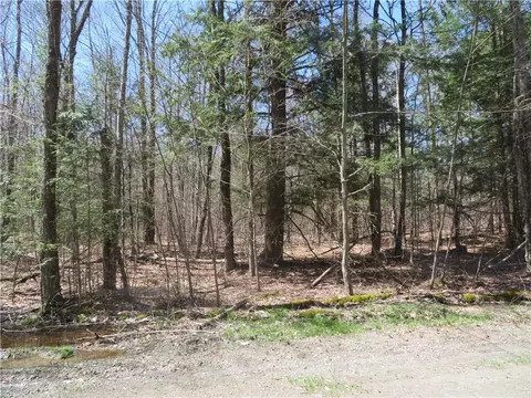 lot B Ward Loomis Rd, Oxford, NY 13830