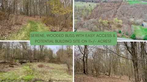 lot8 W Platner Brook Rd, Franklin, NY 13775