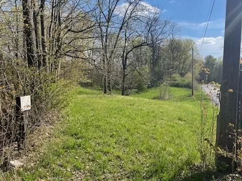 0 Mill St, Tyrone, NY 14837