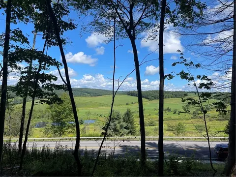 Undisclosed, Meredith, NY 13753