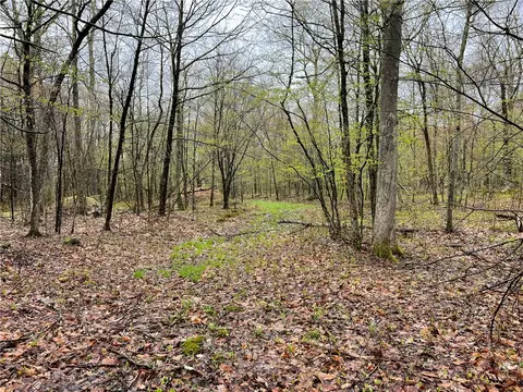 0 Diddish Hill Rd, Davenport, NY 13750