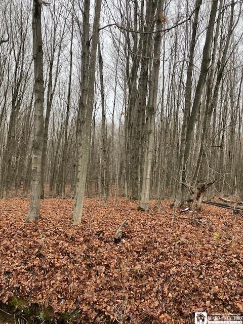 Miller Rd Miller Road, Dayton, NY 14138