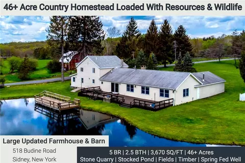 518 Budine Road Rd, Sidney Center, NY 13839