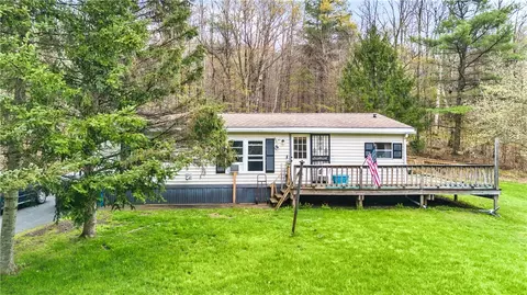 208 Mc Carthy Rd, Schenevus, NY 12155