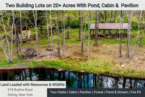 0 Budine Rd, Sidney, NY 13839