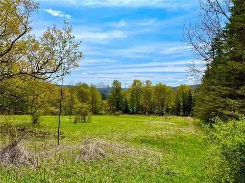 106 Overlook Dr, Andes, NY 13731