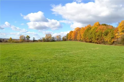 Lot 5 County Road 46, Hopewell, NY 14424
