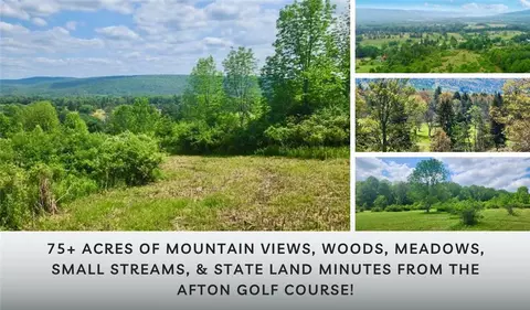 lot30 Algerine St, Afton, NY 13730