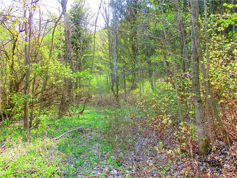 Undisclosed, Cherry Valley, NY 13320