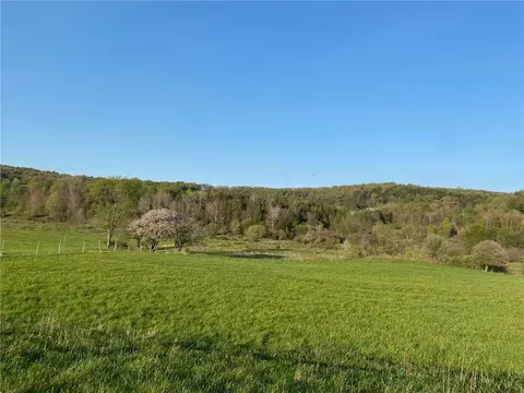 Lot #10 County Road 24, Columbus, NY 13460