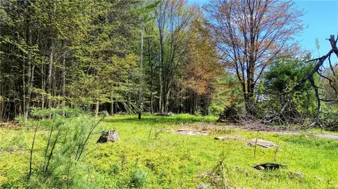 106 Audobon Ln, Conesville, NY 12076