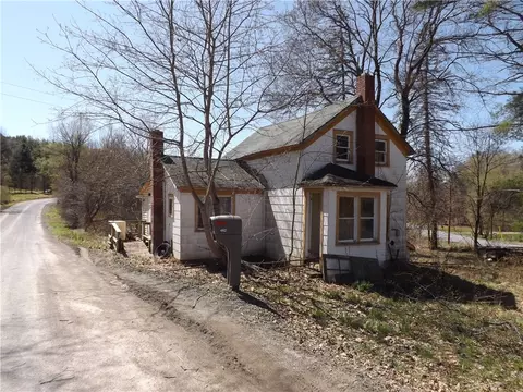 459 Lower Green St, Otego, NY 13825