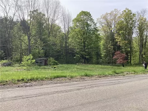 341 Dan Main Rd, Norwich, NY 13815