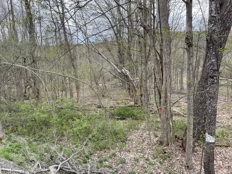 0 St Hwy 51, Butternuts, NY 13776