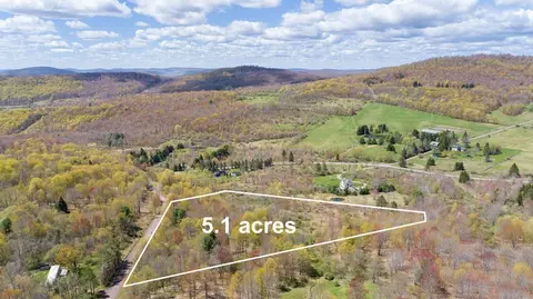 0 Ford Rd, Bovina, NY 13740