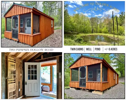 780 Pumpkin Hollow Rd, Davenport, NY 13757